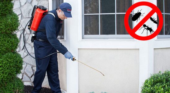 Çine Gümüşkurt İlaçlama böcek ilaçlama ve haşere kontrolü — ilaclama-tr.com